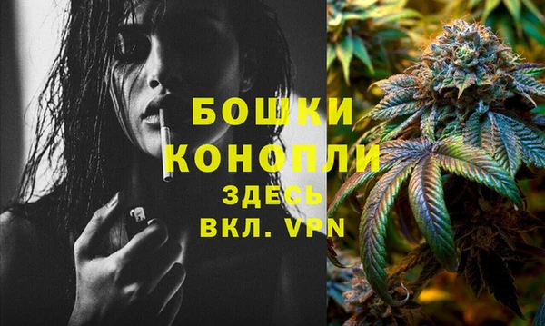 прущие грибы Магадан