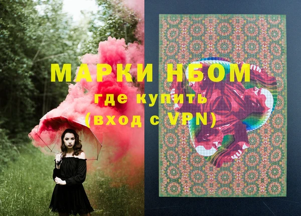 стаф Осинники