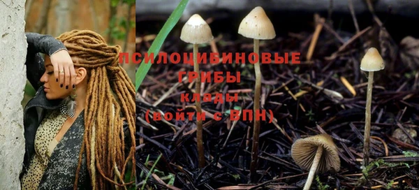 герыч Няндома