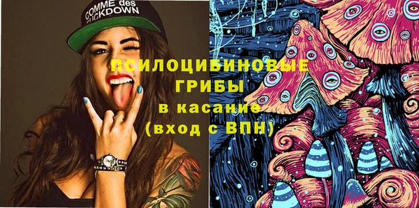 герыч Няндома