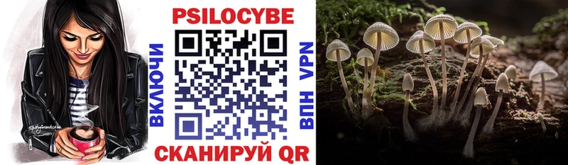 Галлюциногенные грибы ЛСД  магазин продажи наркотиков  Завитинск 