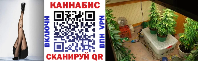 даркнет состав  Завитинск  Каннабис планчик 